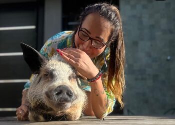 Um ano após polêmica, Amanda Fróes retorna à Apple com porquinho para encerrar ciclo