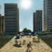 Corona Cria A Primeira Reserva Solar Do Mundo No Brasil