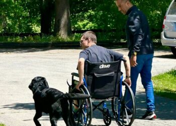 Cães de assistência mobilidade reduzida e epilepsia auxiliam traumas e são essenciais