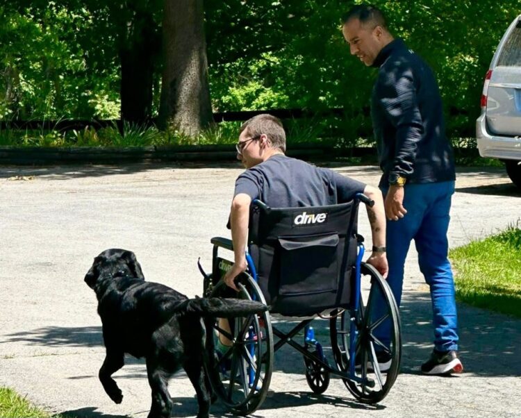 Cães de assistência mobilidade reduzida e epilepsia auxiliam traumas e são essenciais