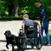 Cães de assistência mobilidade reduzida e epilepsia auxiliam traumas e são essenciais