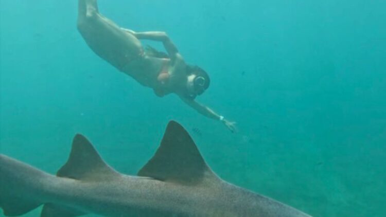 Após Ataque De Tubarão, Tayane Dalazen Retorna Ao Mar Em Noronha E Transforma Trauma Em Superação